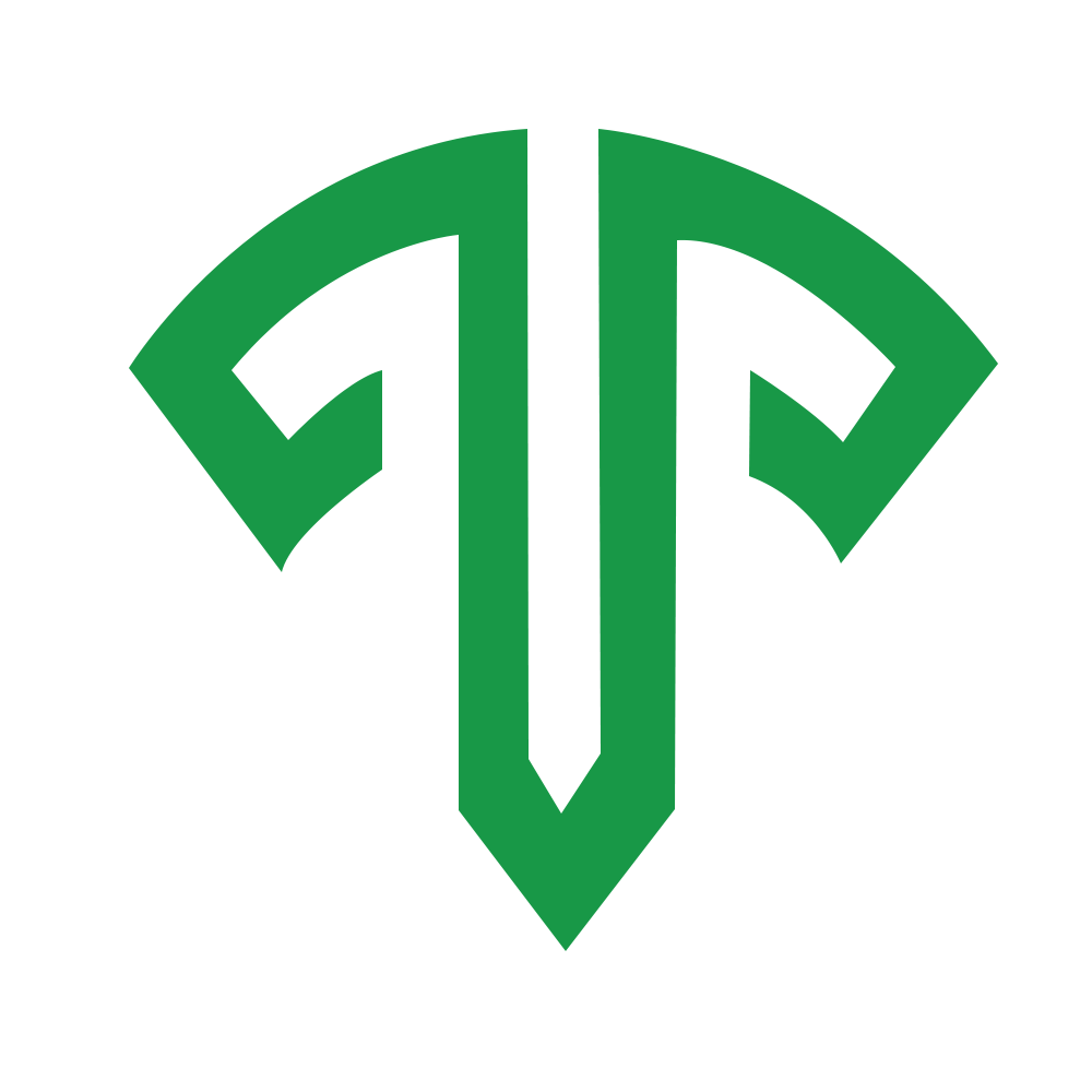 logo TopTech